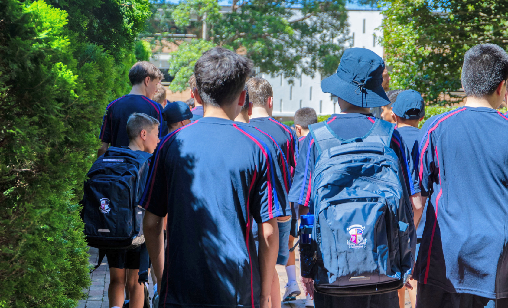 Joeys portal getting started online forms