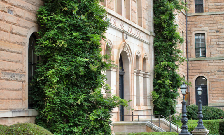 Joeys portal wellbeing immunisation