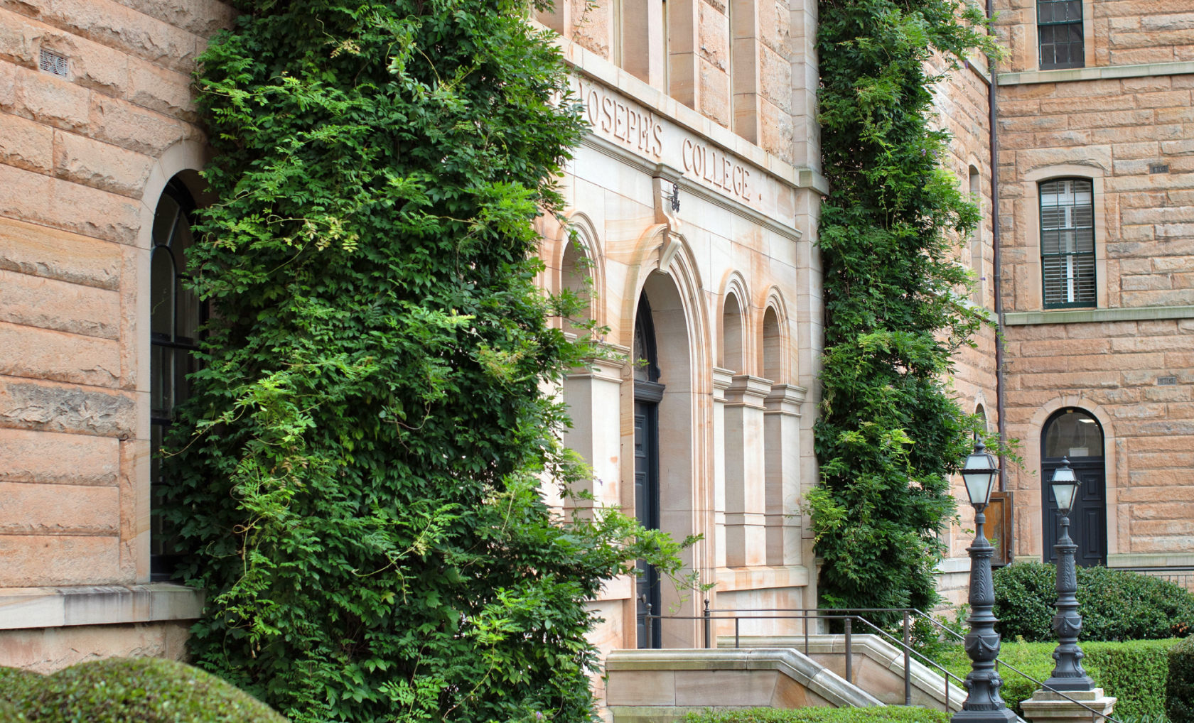 Joeys portal wellbeing immunisation